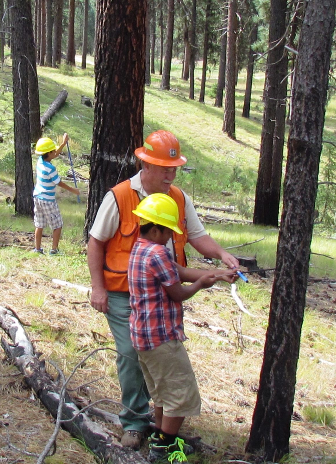 Mentor showing a young student a field skill in a pine forest