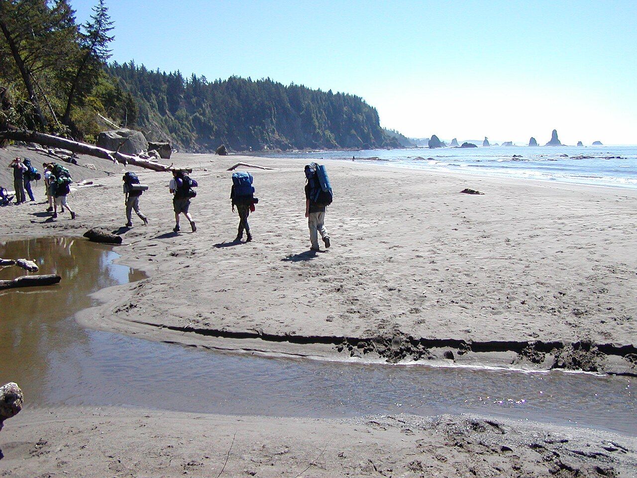 Group of backpackers hiking along a wild coastline beach